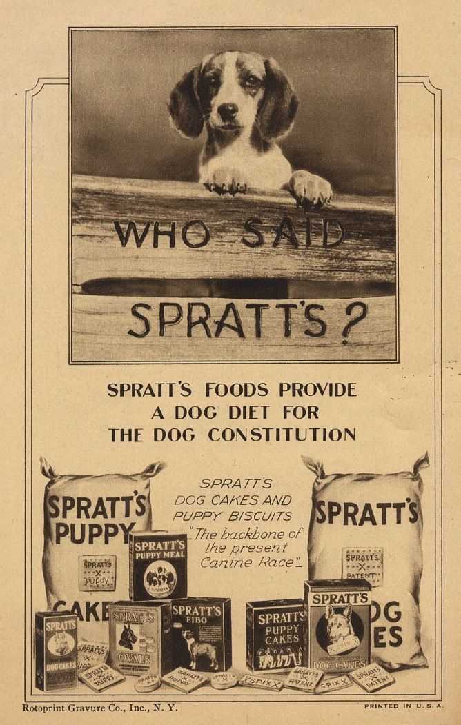 Are Sprats Good for Dogs A Comprehensive Guide to Feeding Sprats to Your Canine