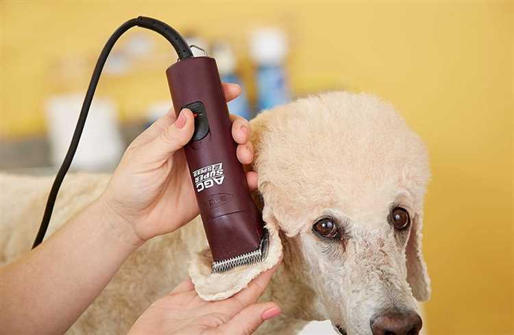 Best Clipper for Long Haired Dogs Get Professional Results at Home