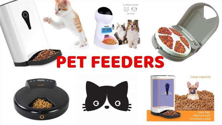 Best Treat Dispenser for Dogs | Find the Perfect One for Your Four-Legged Friend