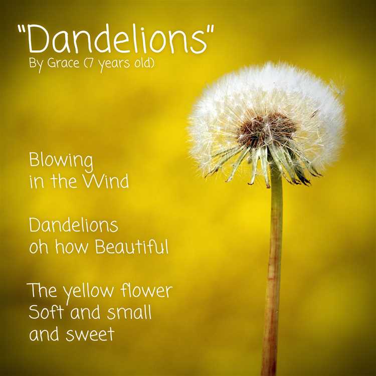 Can Dandelions Give Dogs Diarrhea Exploring the Link Between Dandelions and Canine Digestive Issues