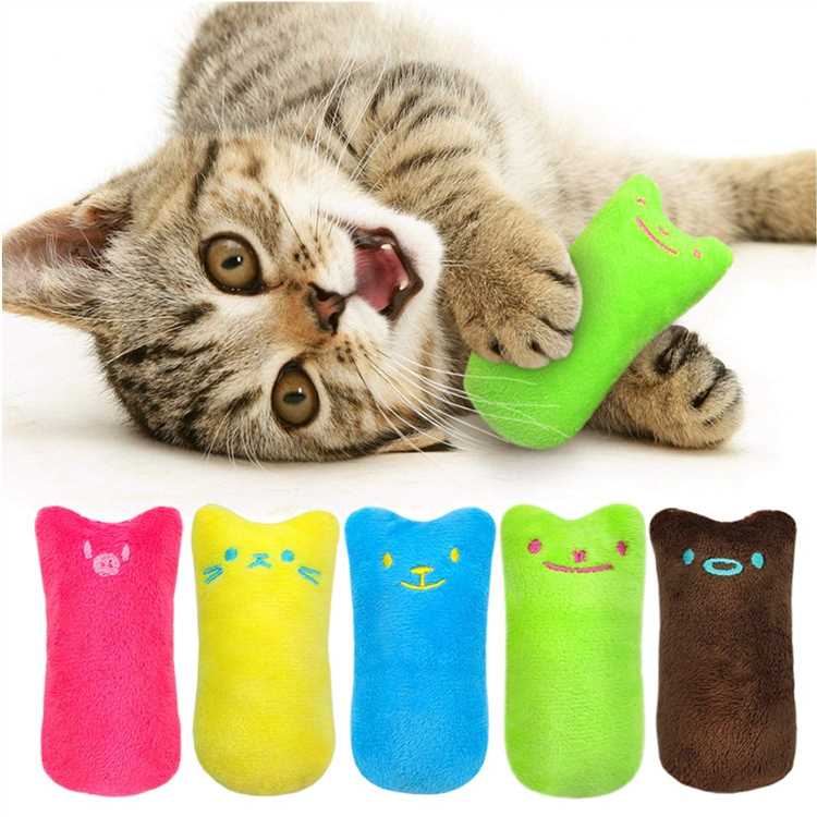 Cats love to play with these toys