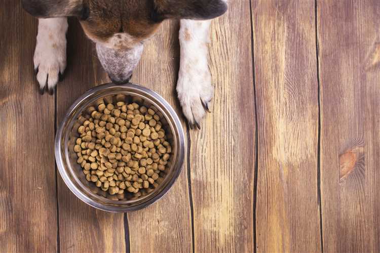 Cheapest Cold Pressed Dog Food Find Affordable Options for Your Pooch