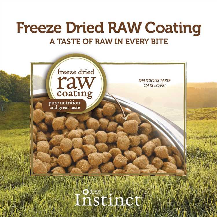 Cheapest Raw Dog Food UK - Affordable and Nutritious Options