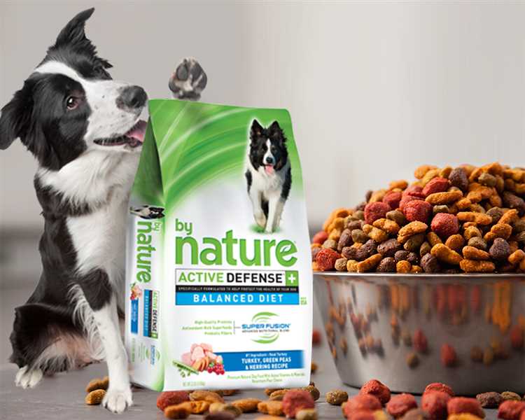 Choose the Best White Fish Dog Food for Optimal Health | YourSiteName
