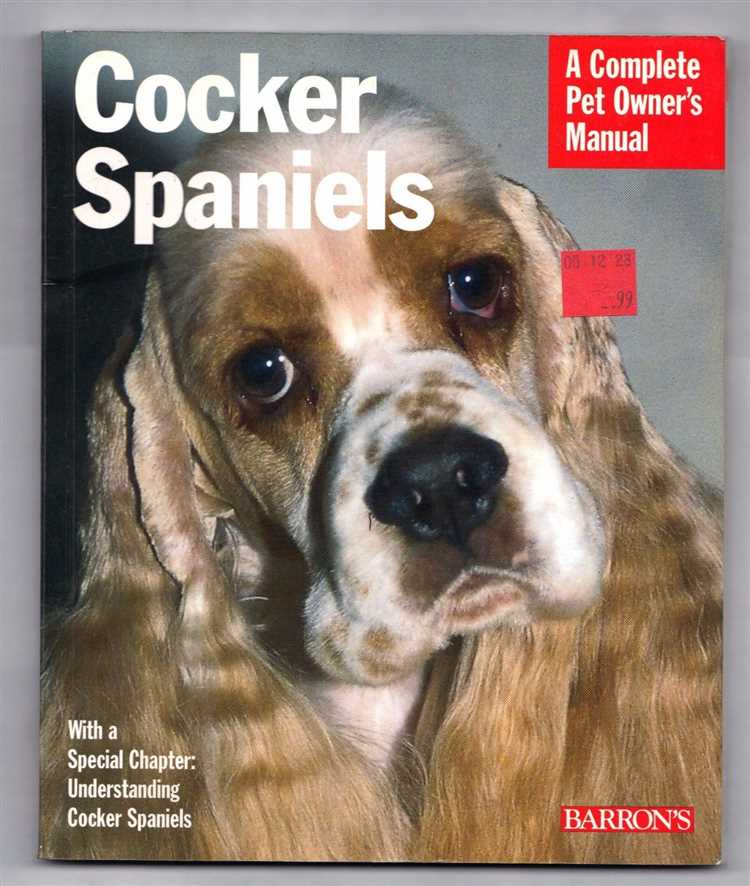 Cocker Spaniel Feeding Guide UK Tips for a Healthy Diet