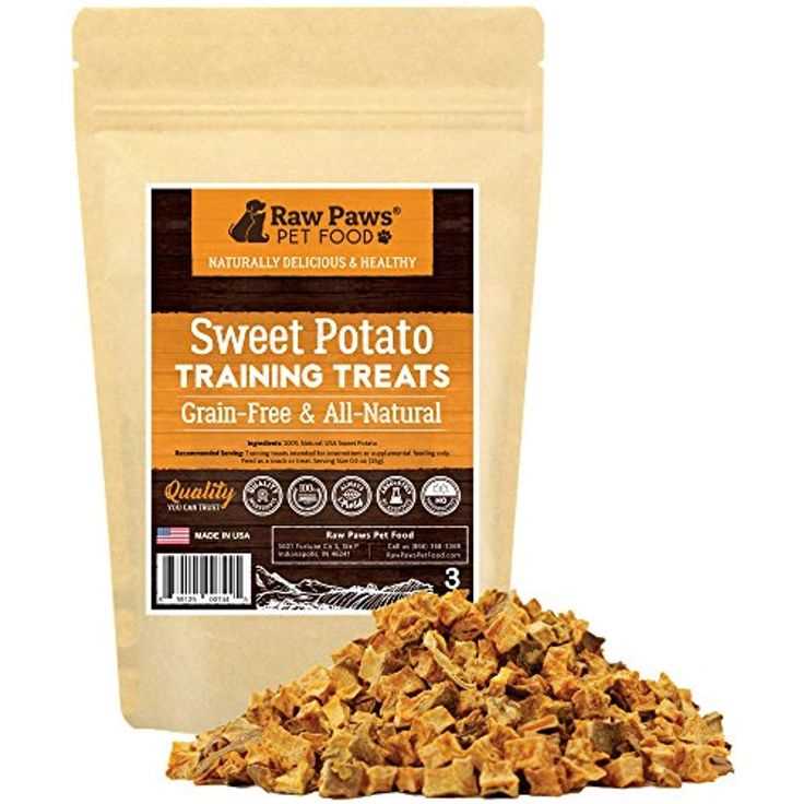 Delicious and Healthy Gluten Free Treats for Dogs