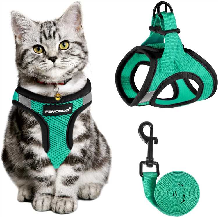 Discover the Best Cat Harness for Traveling Top Picks and Tips