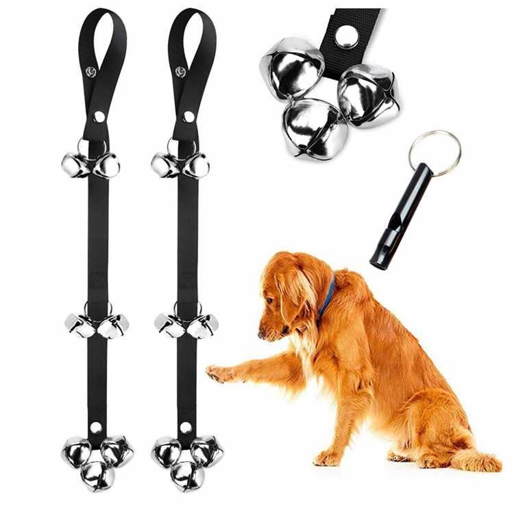 Dog Bells An Essential Tool for Training and Safety