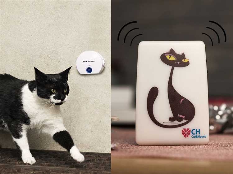 Door Bell for Cats The Ultimate Guide to Training Your Feline Friend