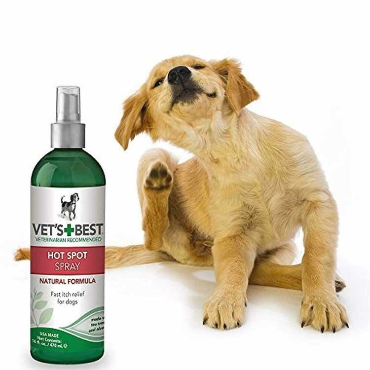 Effective Itch Spray for Dogs Relieve Your Dogs Itching with Our Top Products