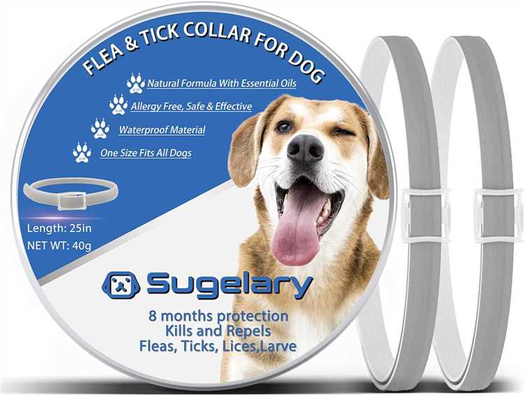 Effective Natural Repellent for Ticks and Fleas Keep Your Pets Safe