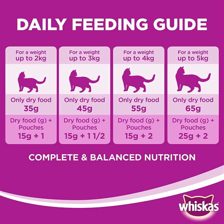 How Long is Dry Cat Food Good For A Guide to Shelf Life