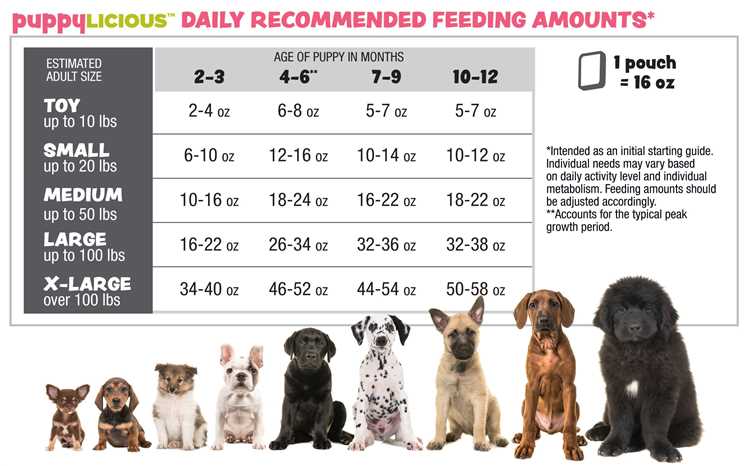 How Much to Feed 11 Week Old Puppy A Complete Guide