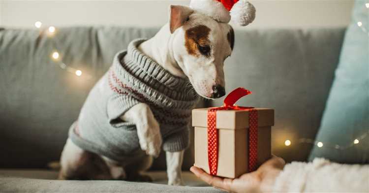 Luxury Dog Christmas Presents - The Perfect Gift for Your Furry Friend