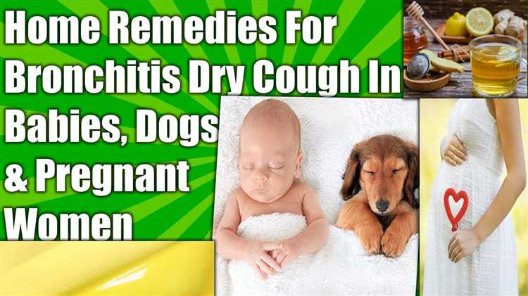 Natural Remedies for Dogs with Cancer Effective Ways to Support Their Health
