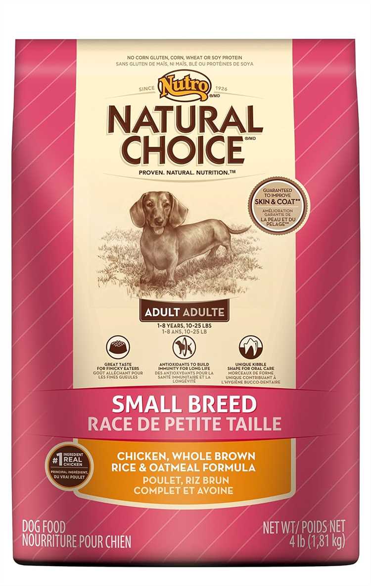 Nature's Dog Food A Natural and Nutritious Choice for Your Canine Companion