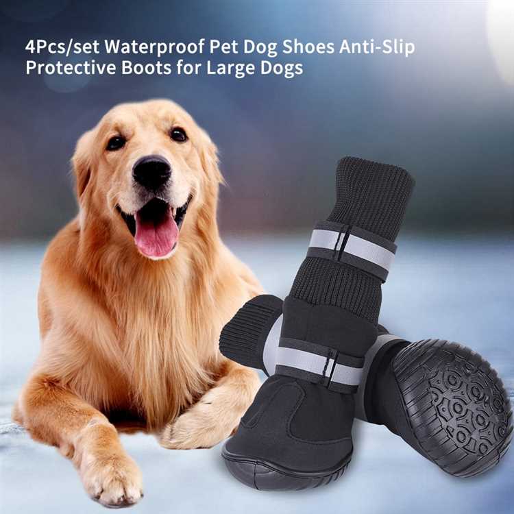 Protect your dog's paws on hot pavement with the best dog boots