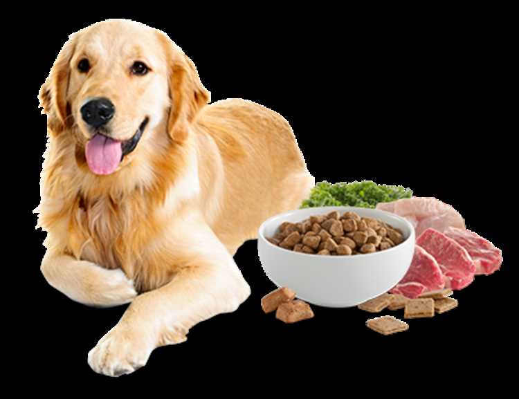 Safe Spices for Dogs A Guide to Adding Flavor to Your Dog's Food
