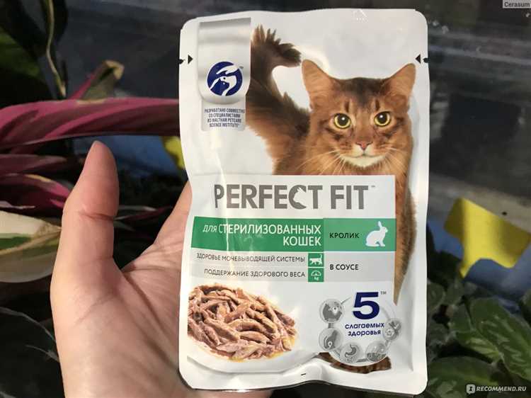 Sprats for Cats The Perfect Fish Treat for Your Feline Friend