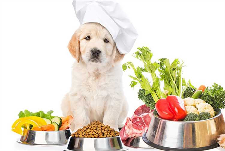 Superfood Dog Food A Nutritious Choice for Your Canine