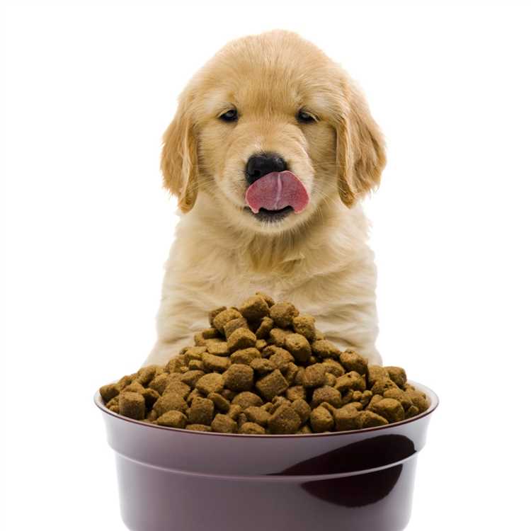 The Benefits of Feeding Live Food to Pets at Home