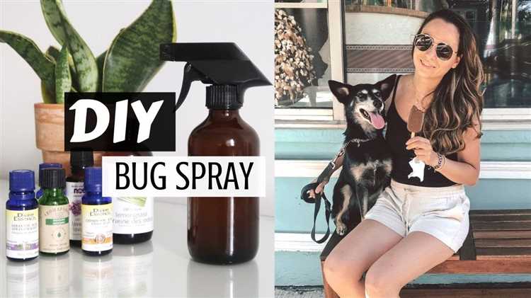Top 10 Natural Tick Repellent Solutions for Dogs in the UK