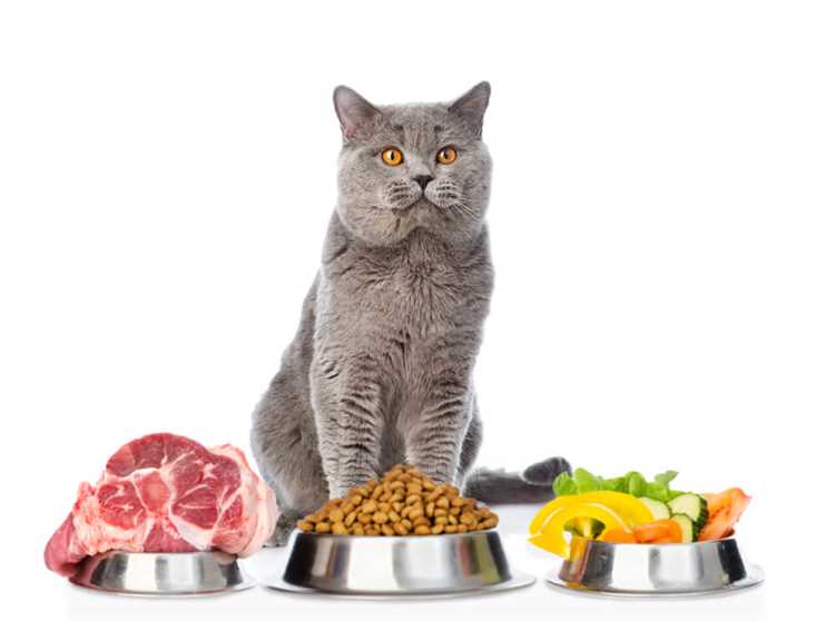 Turkey Cat Food The Best Options for Your Feline Friend
