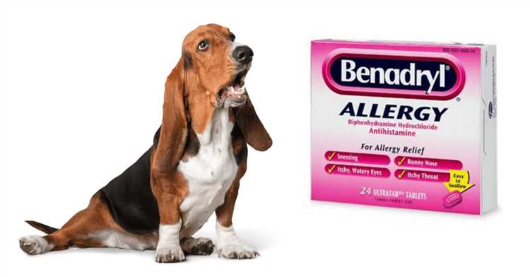 What is the Safe Dosage of Benadryl for Dogs - Expert Advice