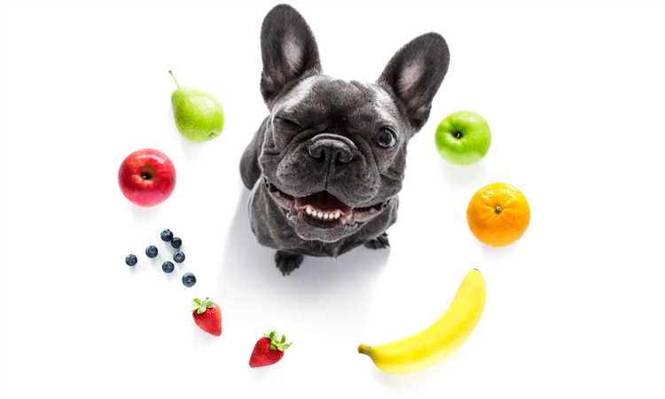 Which Fruits Are Toxic to Dogs A Comprehensive Guide