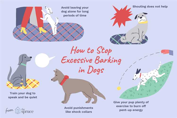 Why Do Dogs Bark at Me | Understanding Dog Behavior and Communication