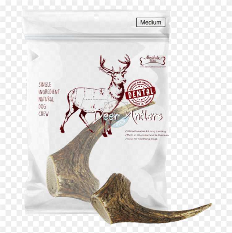 Why Split Deer Antlers for Dogs are the Perfect Chew Toy