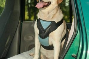 Best Petco Dog Car Harnesses for Safe Travels My Caring Dog – Tips, Stories, and Care Guides for Loving Pet Owners Best Petco Dog Car Harnesses for Safe Travels | My Caring Dog – Tips, Stories, and Care Guides for Loving Pet Owners