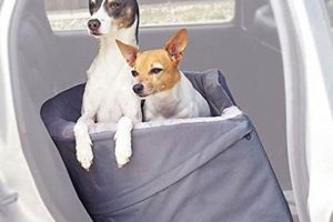 Best Two Dog Car Seats: Safe & Comfy Travel My Caring Dog – Tips, Stories, and Care Guides for Loving Pet Owners Best Two Dog Car Seats: Safe & Comfy Travel | My Caring Dog – Tips, Stories, and Care Guides for Loving Pet Owners