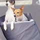 Best Two Dog Car Seats: Safe & Comfy Travel | My Caring Dog – Tips, Stories, and Care Guides for Loving Pet Owners