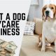 Thriving Dog Day Care Industry: Trends & Insights | My Caring Dog – Tips, Stories, and Care Guides for Loving Pet Owners