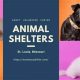 Best Animal Shelters in St. Louis, MO | My Caring Dog – Tips, Stories, and Care Guides for Loving Pet Owners