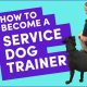 How To Become A Service Animal Trainer | My Caring Dog – Tips, Stories, and Care Guides for Loving Pet Owners
