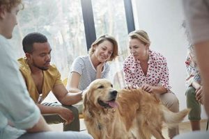 Best Therapy Dogs for Car Travel My Caring Dog – Tips, Stories, and Care Guides for Loving Pet Owners Best Therapy Dogs for Car Travel | My Caring Dog – Tips, Stories, and Care Guides for Loving Pet Owners