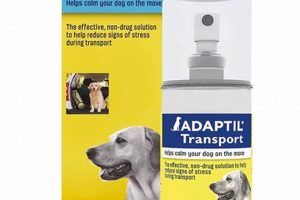 Top Dog Car Sickness Meds: Vet's Guide My Caring Dog – Tips, Stories, and Care Guides for Loving Pet Owners Top Dog Car Sickness Meds: Vet's Guide | My Caring Dog – Tips, Stories, and Care Guides for Loving Pet Owners