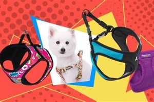 Best AKC Dog Car Harnesses for Safe Travel My Caring Dog – Tips, Stories, and Care Guides for Loving Pet Owners Best AKC Dog Car Harnesses for Safe Travel | My Caring Dog – Tips, Stories, and Care Guides for Loving Pet Owners