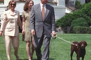 Presidential Dog Care: Inside the White House Kennel | Safem Fabrication - Precision Engineering & Custom Manufacturing Solutions