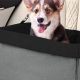 Best Dog Car Seats: Safe & Secure Travel | My Caring Dog – Tips, Stories, and Care Guides for Loving Pet Owners