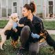 Complete Pet Shelter Care Guide for Dogs | Safem Fabrication - Precision Engineering & Custom Manufacturing Solutions