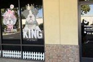 Top Dog Day Care in Roseville, CA My Caring Dog – Tips, Stories, and Care Guides for Loving Pet Owners Top Dog Day Care in Roseville, CA | My Caring Dog – Tips, Stories, and Care Guides for Loving Pet Owners