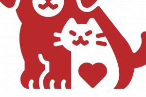 Best Care For Animals Inc: Dog Car Safety My Caring Dog – Tips, Stories, and Care Guides for Loving Pet Owners Best Care For Animals Inc: Dog Car Safety | My Caring Dog – Tips, Stories, and Care Guides for Loving Pet Owners