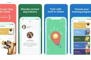 Service Dog Training App | Safem Fabrication - Precision Engineering & Custom Manufacturing Solutions