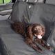 Best Dog Car Seat Covers at Petsmart: Top Picks | My Caring Dog – Tips, Stories, and Care Guides for Loving Pet Owners
