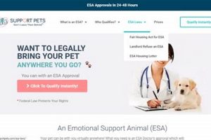 My Support Pet Dog Login | Access & Info Safem Fabrication - Precision Engineering & Custom Manufacturing Solutions My Support Pet Dog Login | Access & Info | Safem Fabrication - Precision Engineering & Custom Manufacturing Solutions