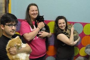 Best Care Animal Rescue in Springfield MO Safem Fabrication - Precision Engineering & Custom Manufacturing Solutions Best Care Animal Rescue in Springfield MO | Safem Fabrication - Precision Engineering & Custom Manufacturing Solutions