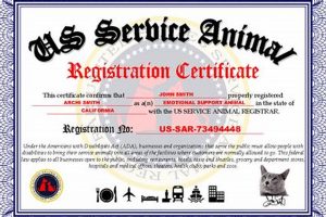 Service Dog Registration in Texas: A Guide Safem Fabrication - Precision Engineering & Custom Manufacturing Solutions Service Dog Registration in Texas: A Guide | Safem Fabrication - Precision Engineering & Custom Manufacturing Solutions